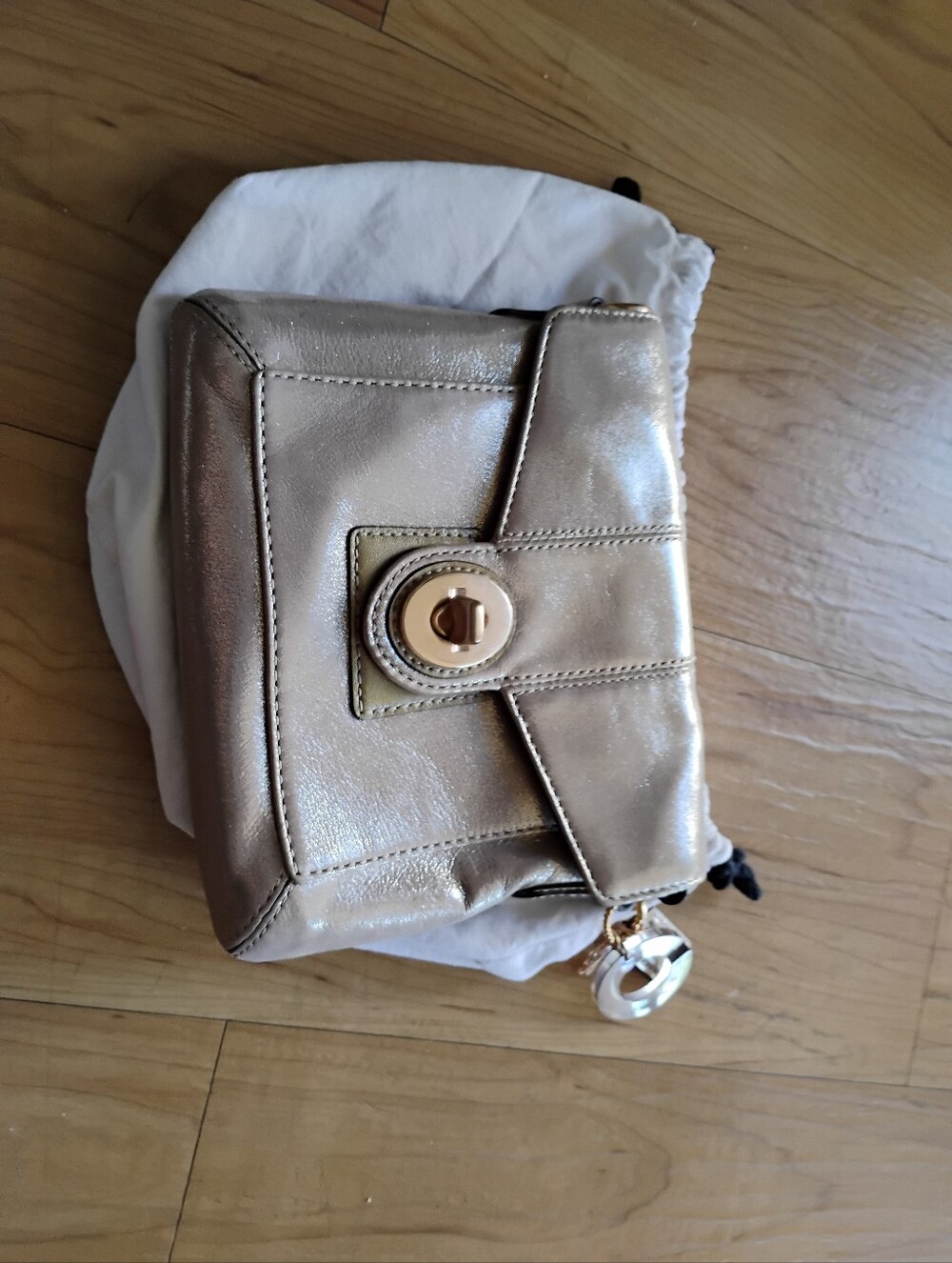 Coach Peyton Textured Metallic Turn-lock Crossbody - Picture 11 of 12
